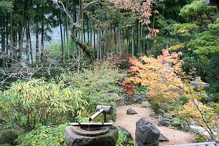 d0001533_15165181.jpg