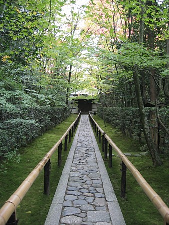 d0001533_1617588.jpg