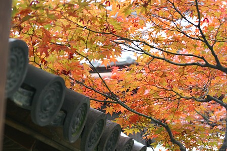 d0001533_1629885.jpg