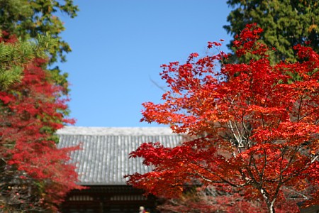 d0001533_1636221.jpg