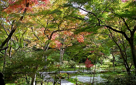 d0001533_16453447.jpg