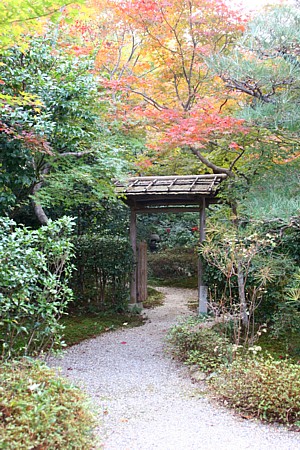 d0001533_16464757.jpg