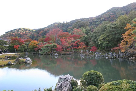 d0001533_1649181.jpg