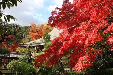 d0001533_1652199.jpg