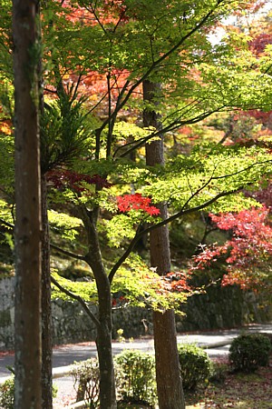d0001533_16535353.jpg