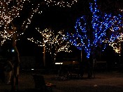 e0048933_23563368.jpg
