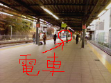 a0058135_228015.jpg