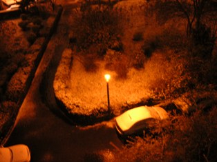 b0040048_7202424.jpg