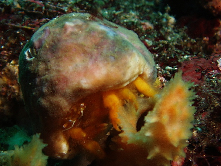 d0021952_2102535.jpg