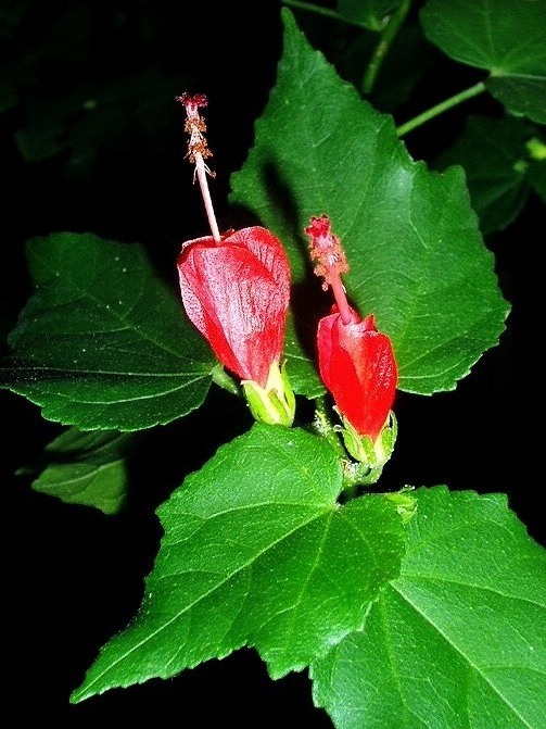 e0064158_23104324.jpg