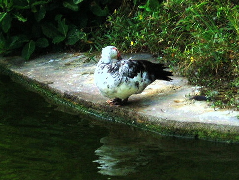 e0064158_2311459.jpg