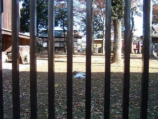 b0059860_14244589.jpg