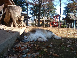 b0059860_14252538.jpg