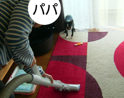 c0032567_23382691.jpg