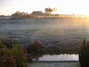 d0026278_1701327.jpg
