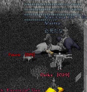 e0012581_2483284.jpg