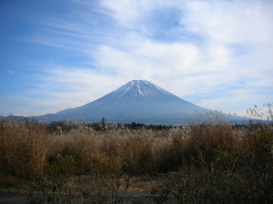 b0026388_558568.jpg