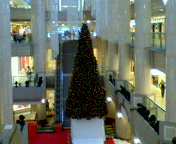 b0007895_11204221.jpg