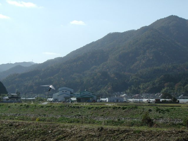 d0050195_23223398.jpg