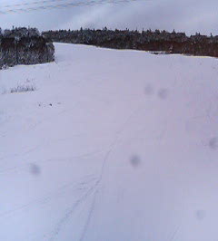 b0037197_2049692.jpg