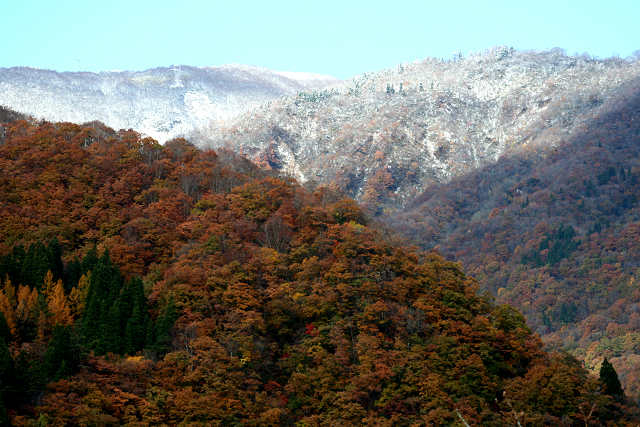 a0067201_21383631.jpg