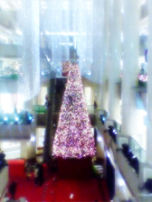 c0055305_232122.jpg