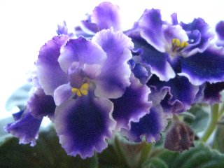 b0061107_2294160.jpg