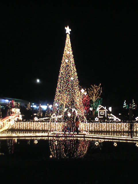 c0003217_10436.jpg