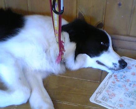 c0003217_2213989.jpg