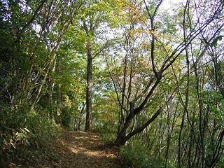 a0037820_15272233.jpg