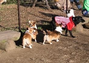 e0071225_2344352.jpg