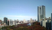 b0029438_1292764.jpg