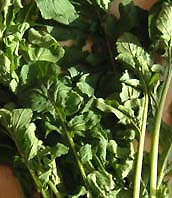 e0067538_18571678.jpg