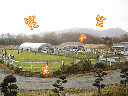 c0053844_17395026.jpg