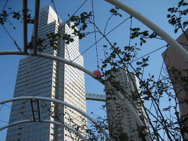 e0082045_14582334.jpg