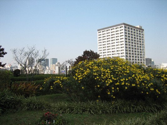 e0082045_167929.jpg
