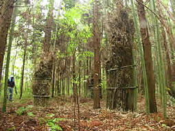 a0044046_23494026.jpg