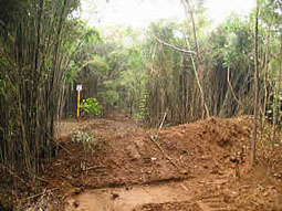 a0044046_23501790.jpg