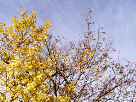 c0074156_131576.jpg