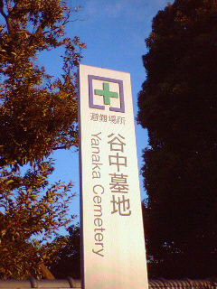 c0060659_2035892.jpg