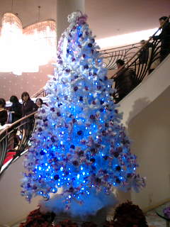 d0008762_135111.jpg