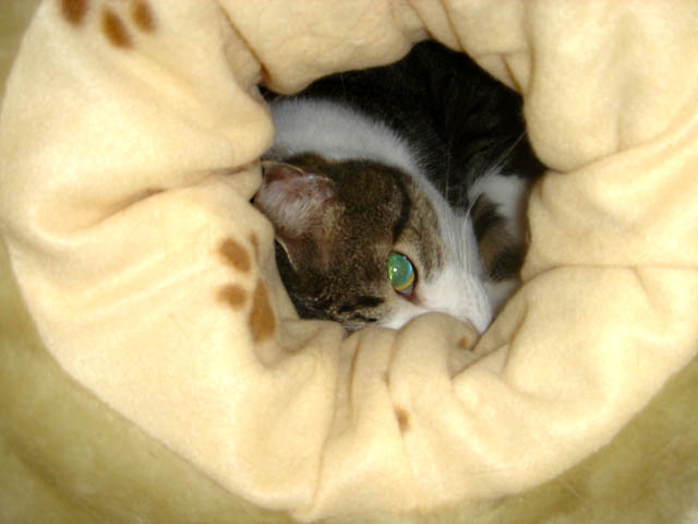 a0055567_8462883.jpg