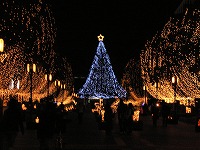 e0015270_11335822.jpg