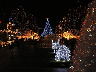 e0015270_1151566.jpg