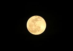 c0053571_2234528.jpg