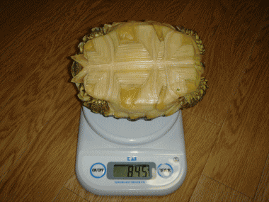 b0055276_23193550.gif