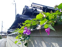 a0003079_2219765.jpg