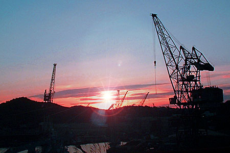 b0049180_1753096.jpg