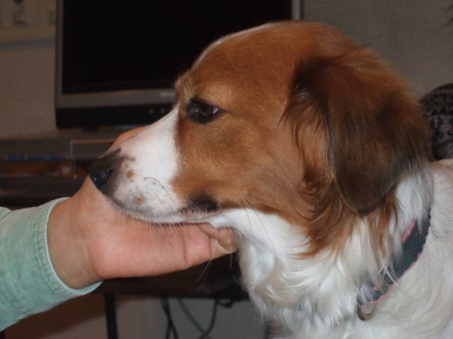 c0075585_23571923.jpg