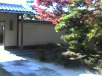 e0030085_22204224.jpg